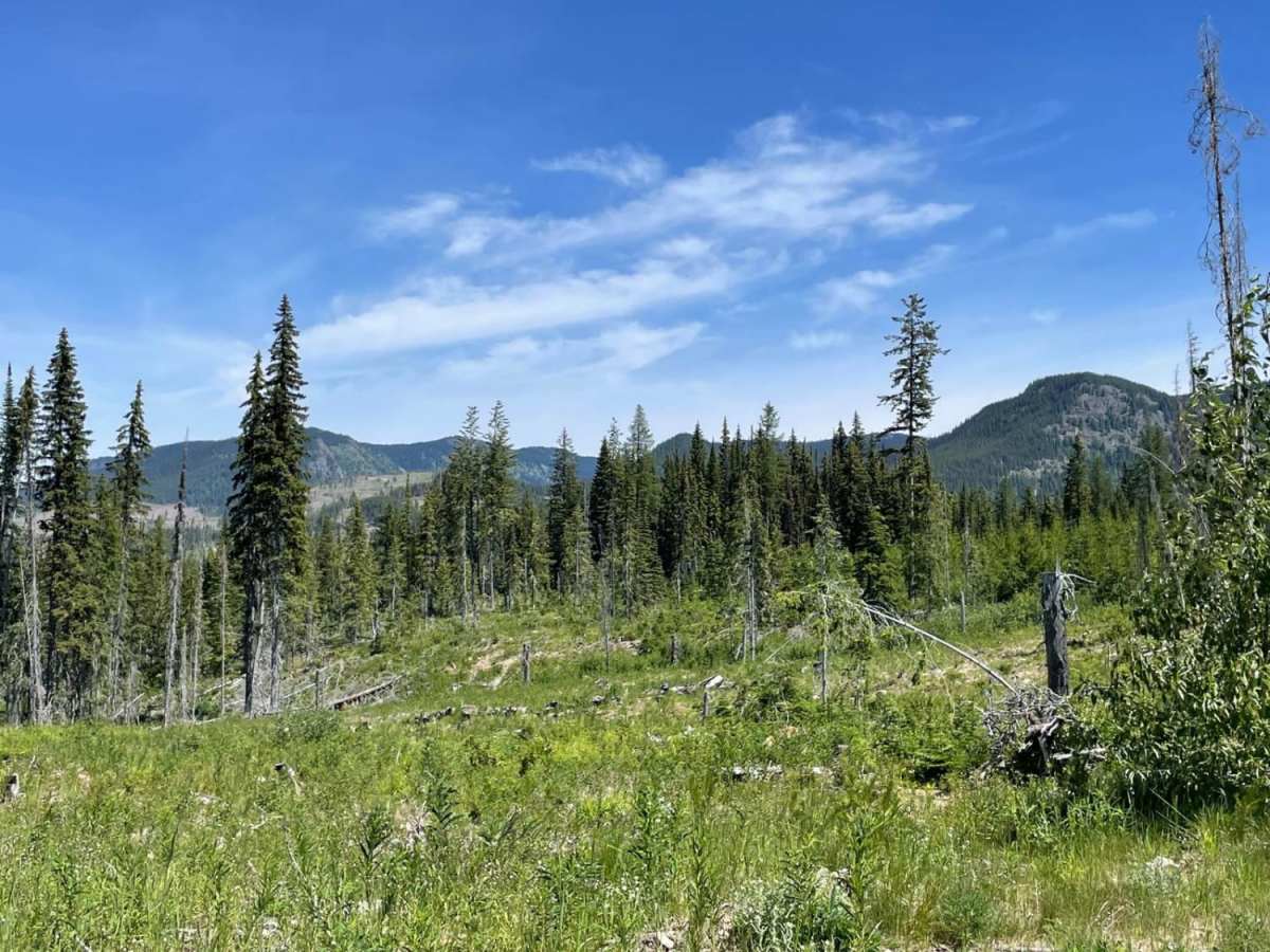 Goat Skin North trail photo