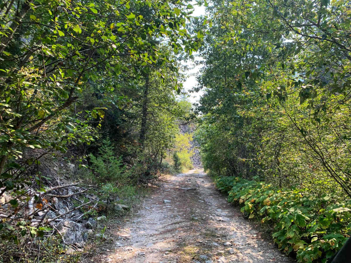 Gold Creek Trail trail photo