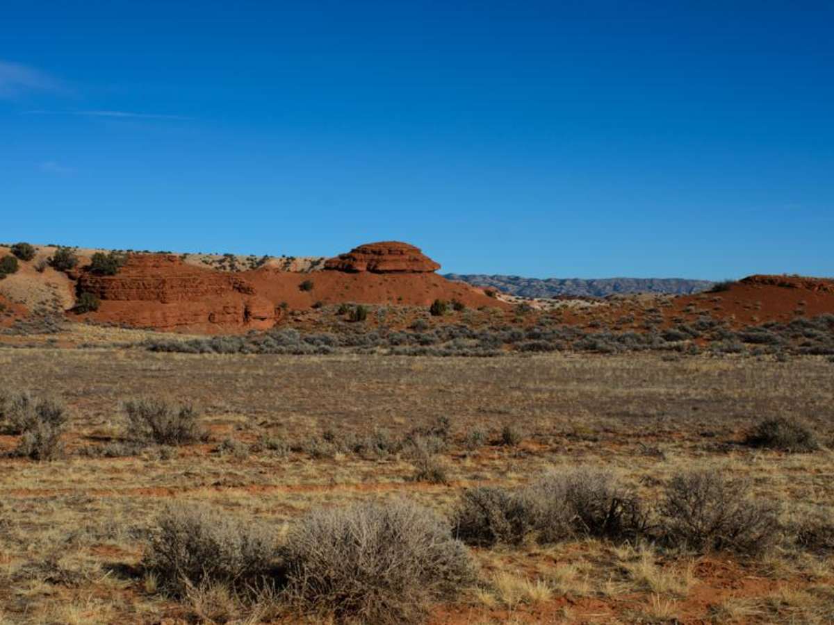 Gyp Springs Road photo 2