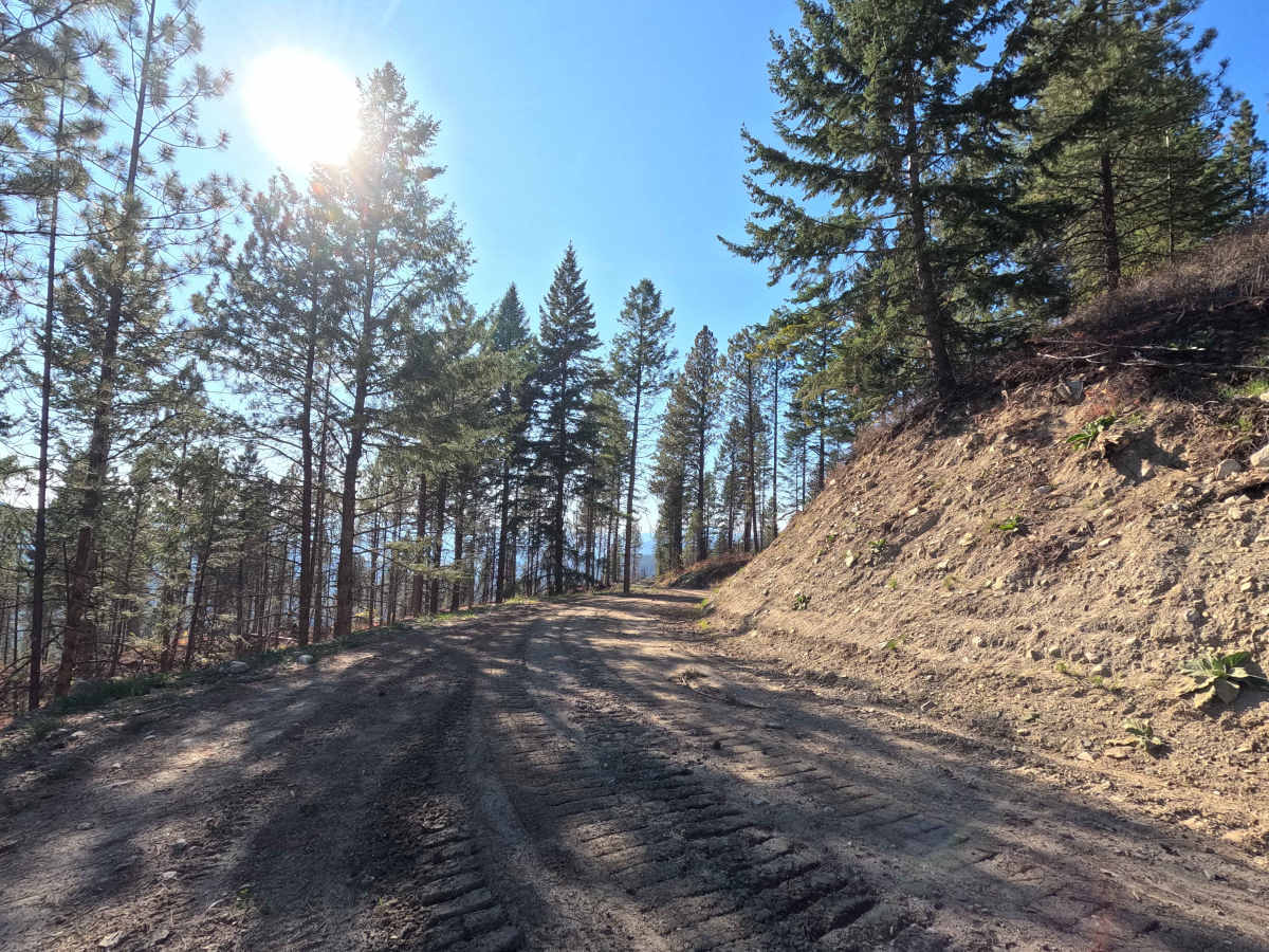 Dahlstrom Meadows - FS 9517300 photo 6