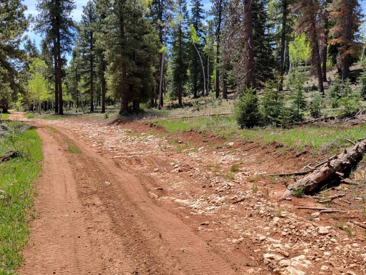 Upper Canyon Loop photo 3