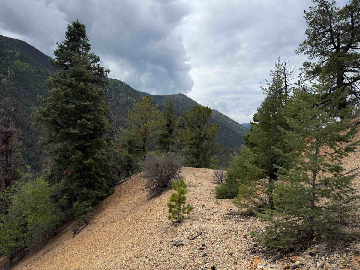 FS 195S Primitive Trail photo 4
