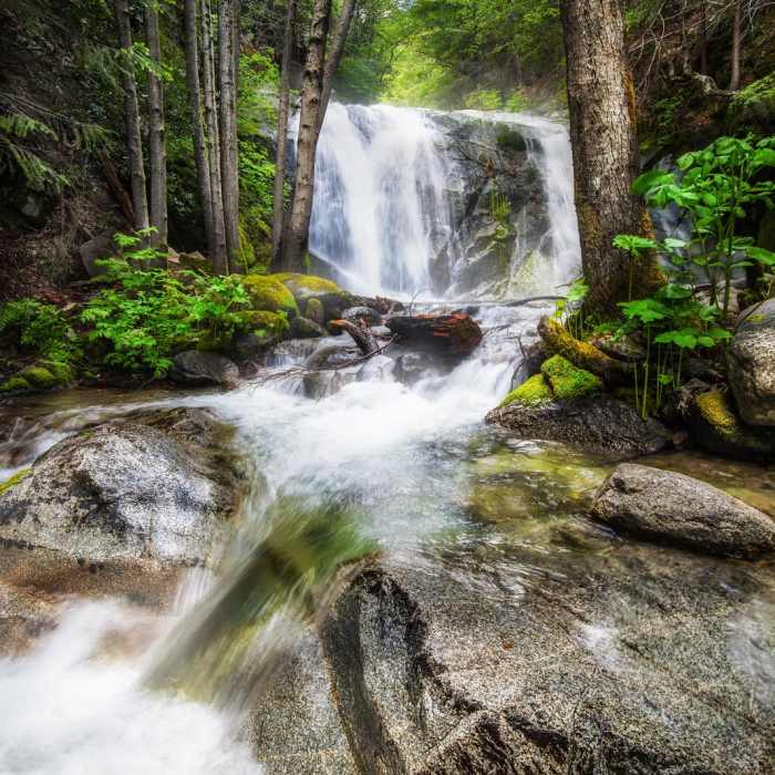 Near Brandy Creek Falls