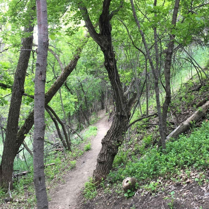Near Campground Paved Trail