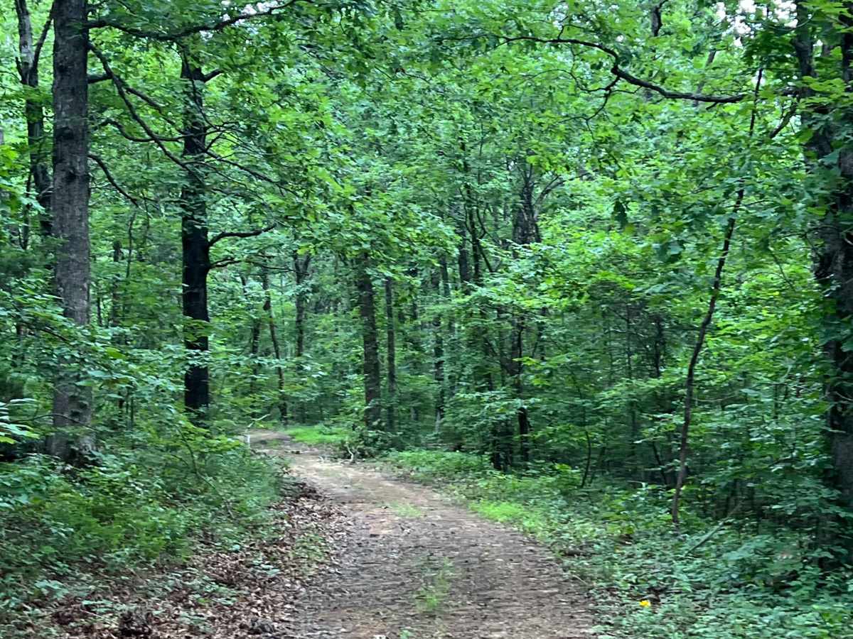 Walker trail photo
