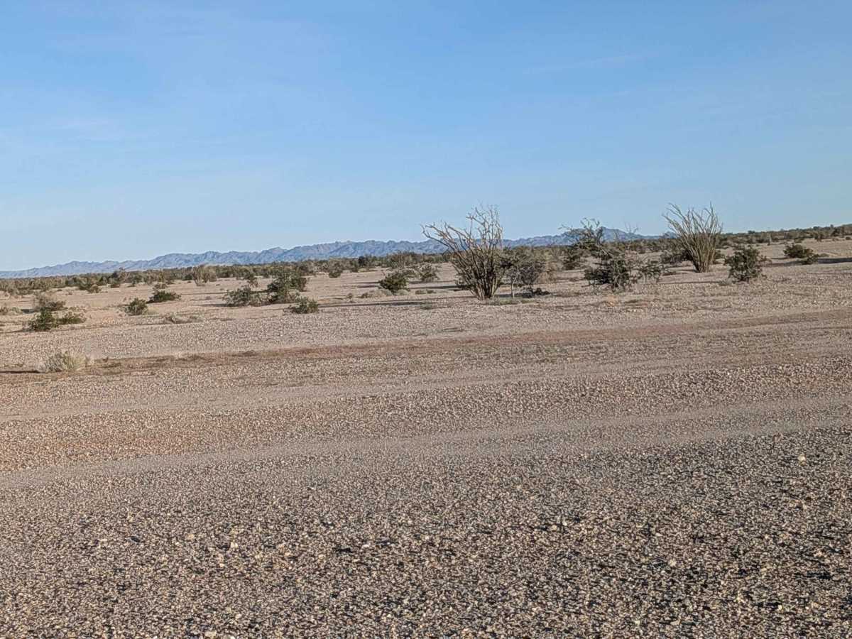 BLM 770 photo 3