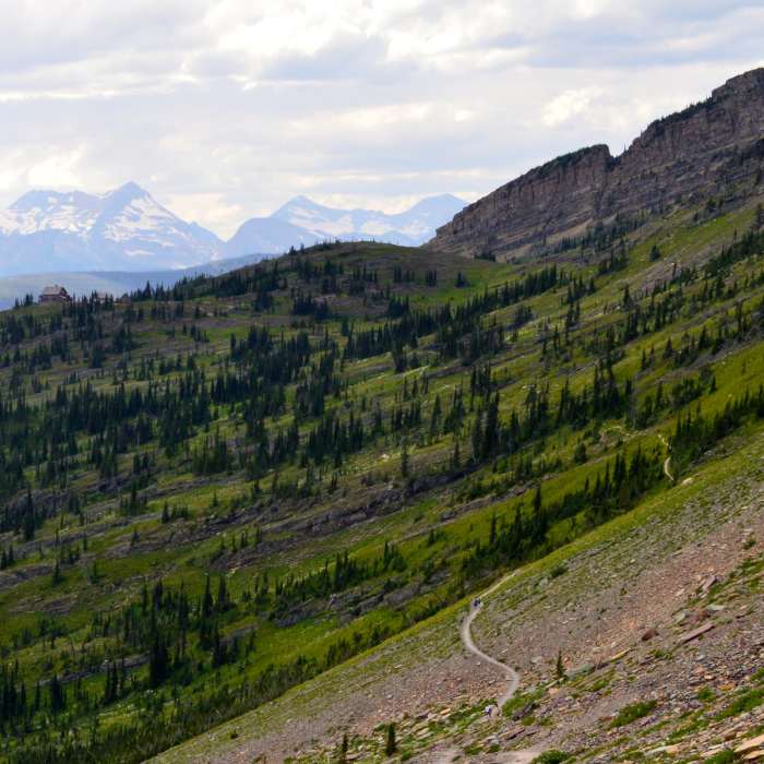 Near Grinnell Glacier Overlook