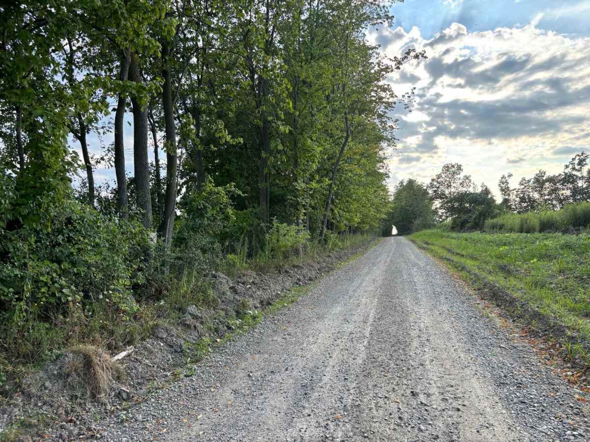 Hoagland Road photo 4
