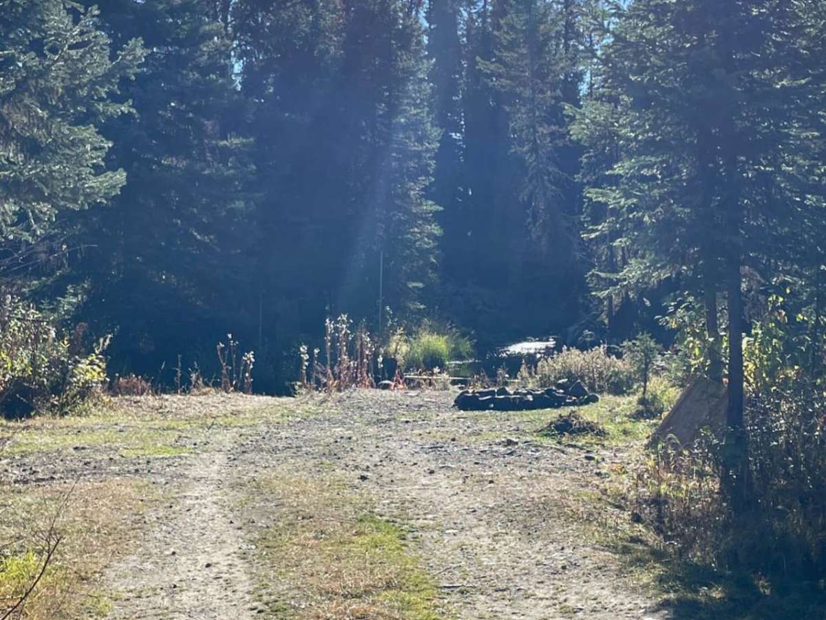 Beaver Lake Road to Haddo Lake Rec Site photo 5