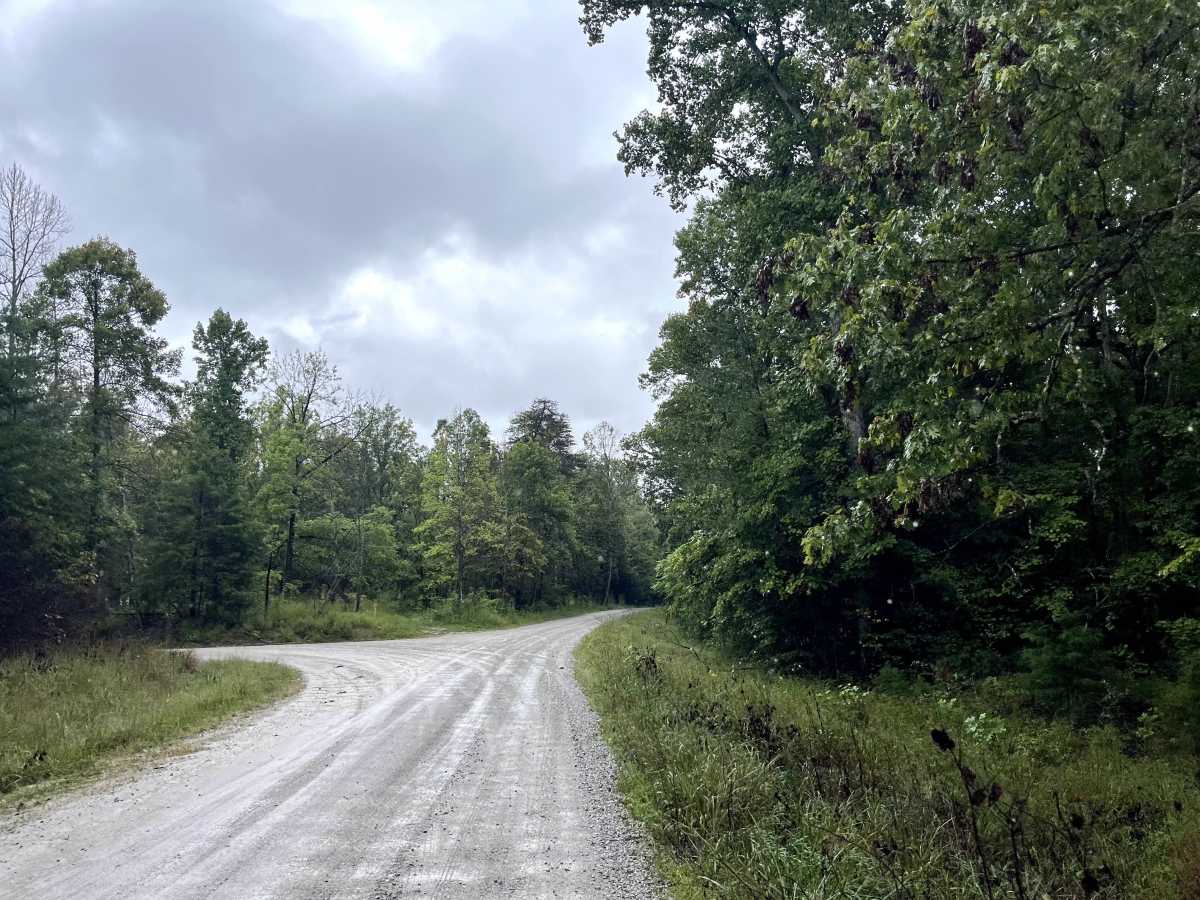 Potters Ford Road photo 3