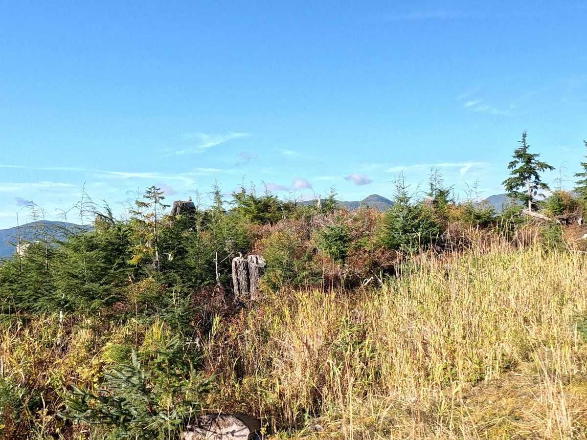 Over Section 6 Road - FS 2030100 photo 2