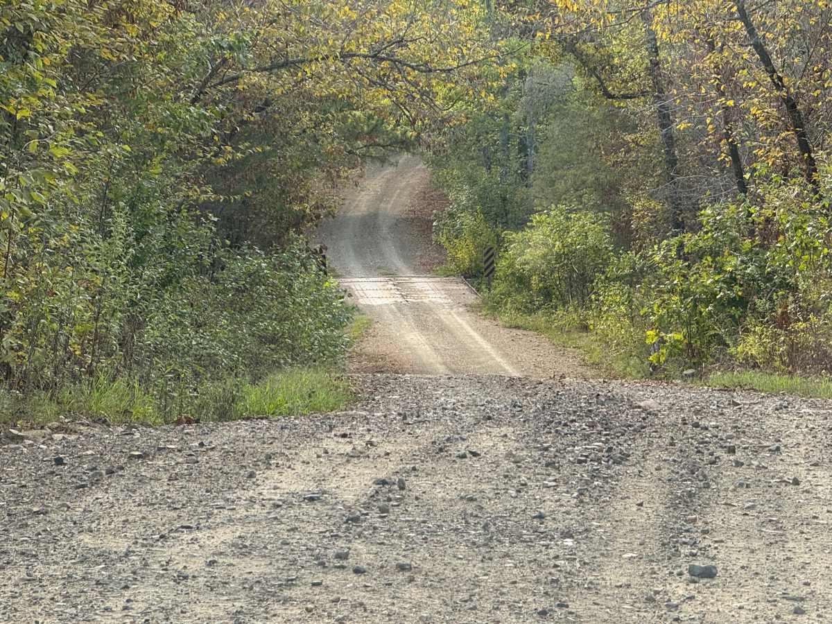 Polk Road 301 photo 6