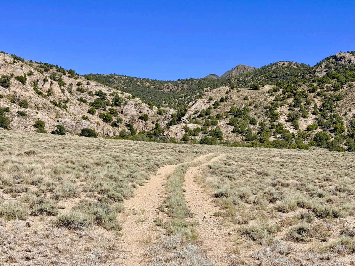 Segura Spring trail photo