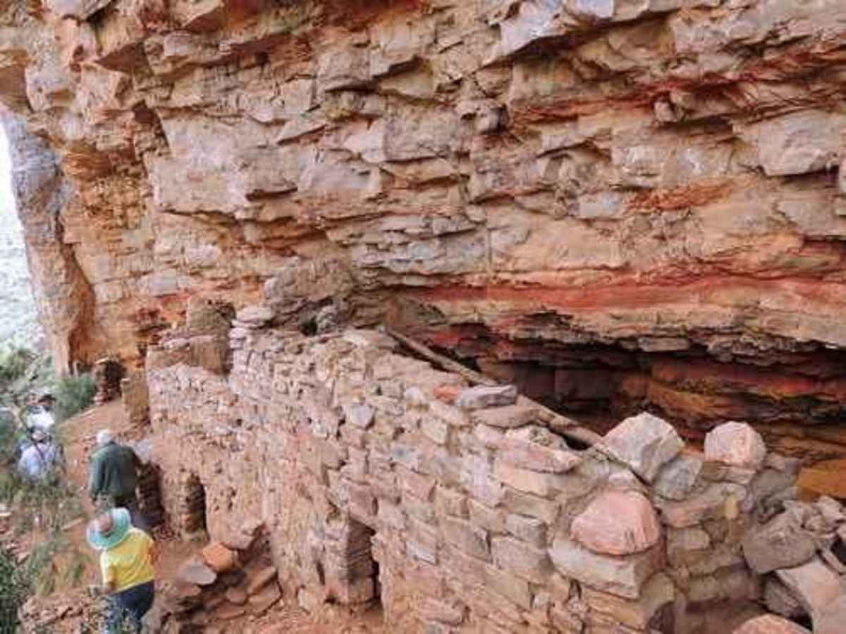 Coon Creek Ruins trail photo