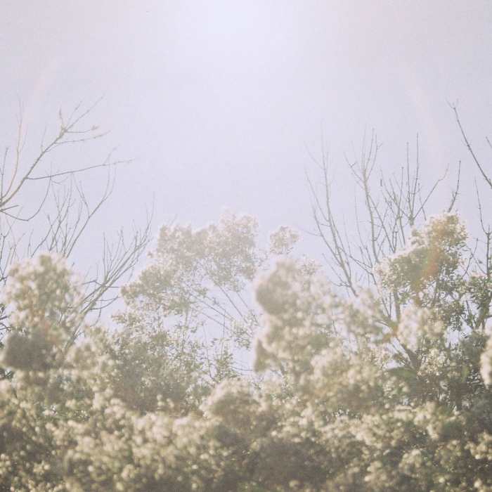 Wish one. Near Ortega Stream Valley Trail