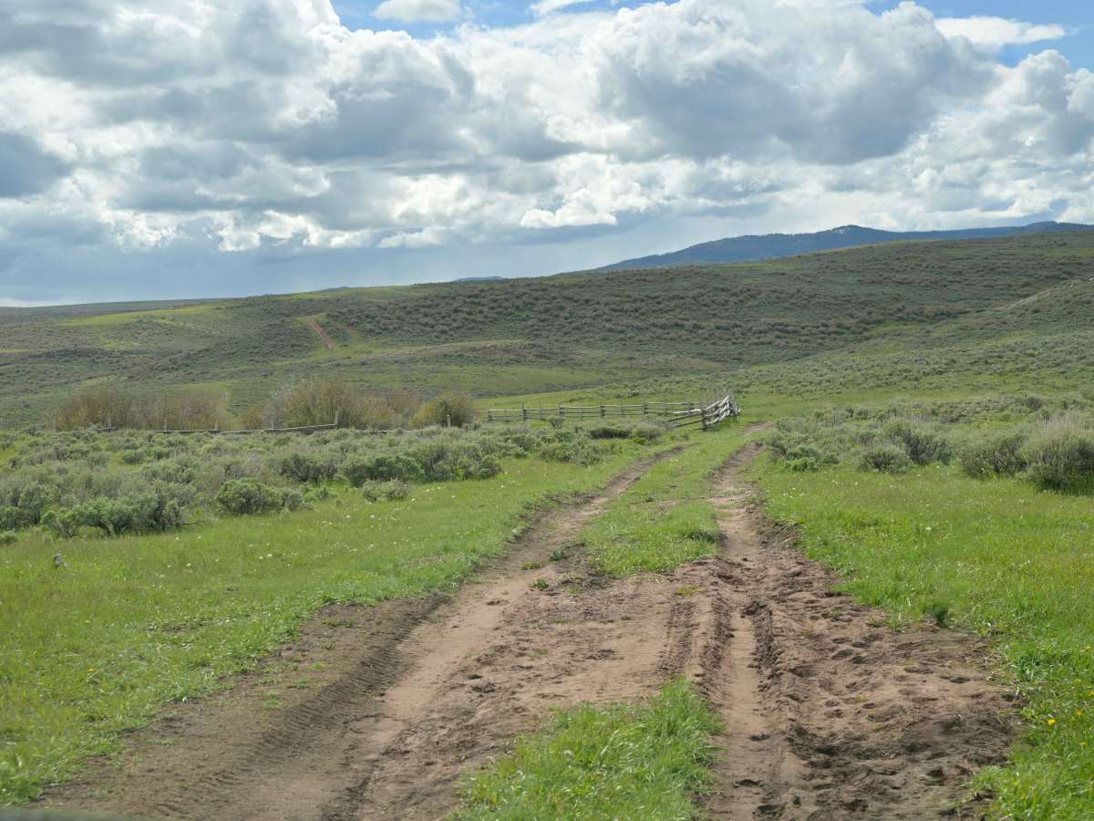Bull Spring - FS 10578 photo 5