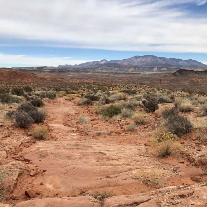 View of Signal Peak Near City Creek Trail