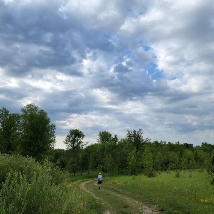 On the trail south of the Springview Trailhead. Near Carver Park (West) Loop