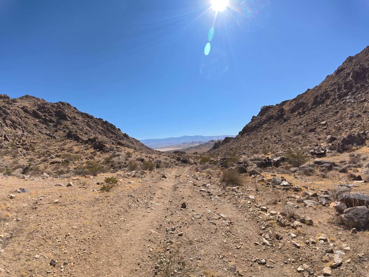 BLM SV2673 photo 2