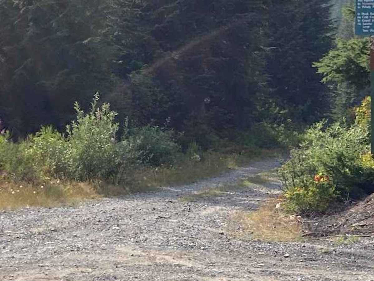 Hyak/Rockdale Lake Road - FS 9070 photo 3