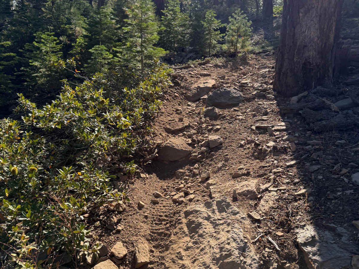 06 Moto Trail trail photo