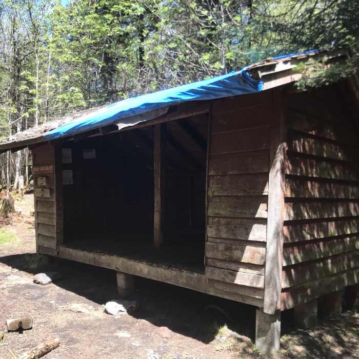 Cooley Glen Shelter Near The Long Trail (Division 7)