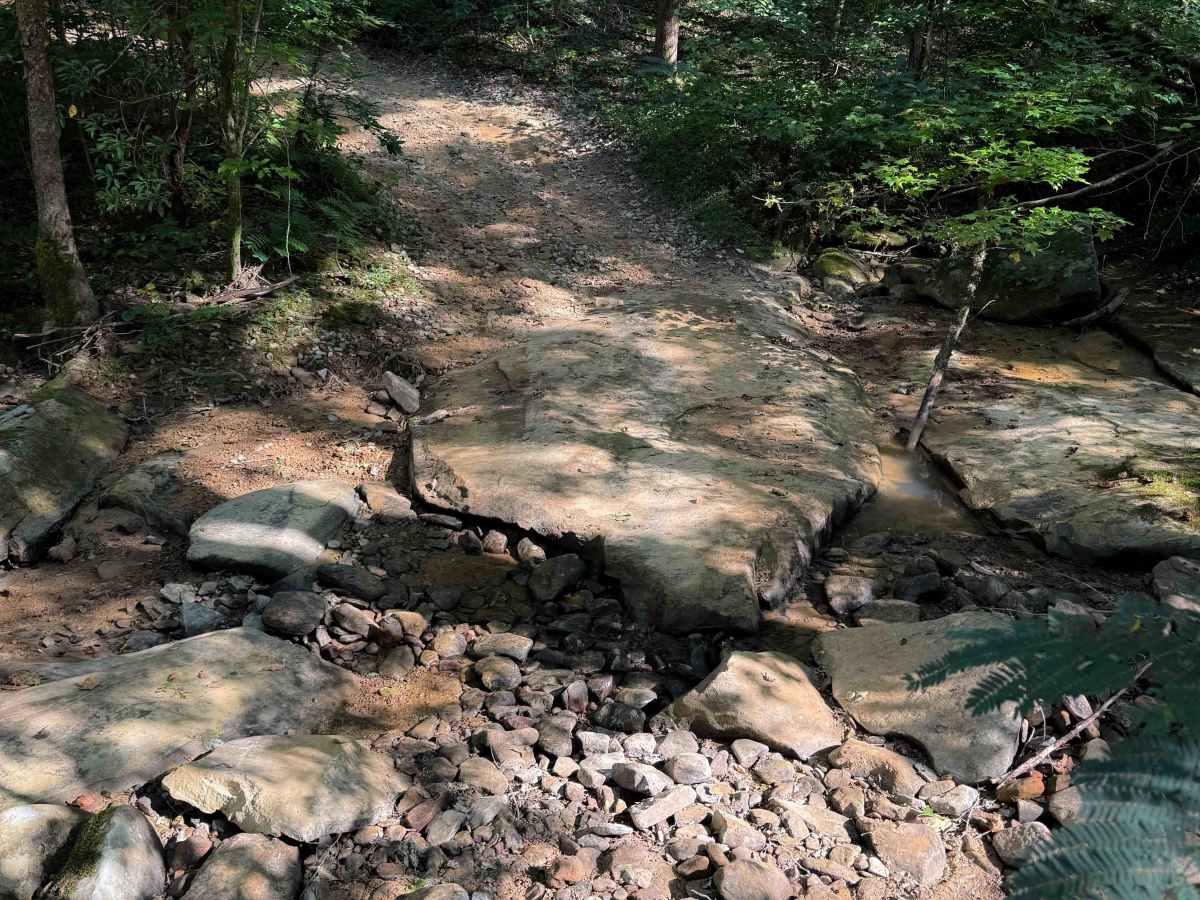 Dry Fork Trail  trail photo