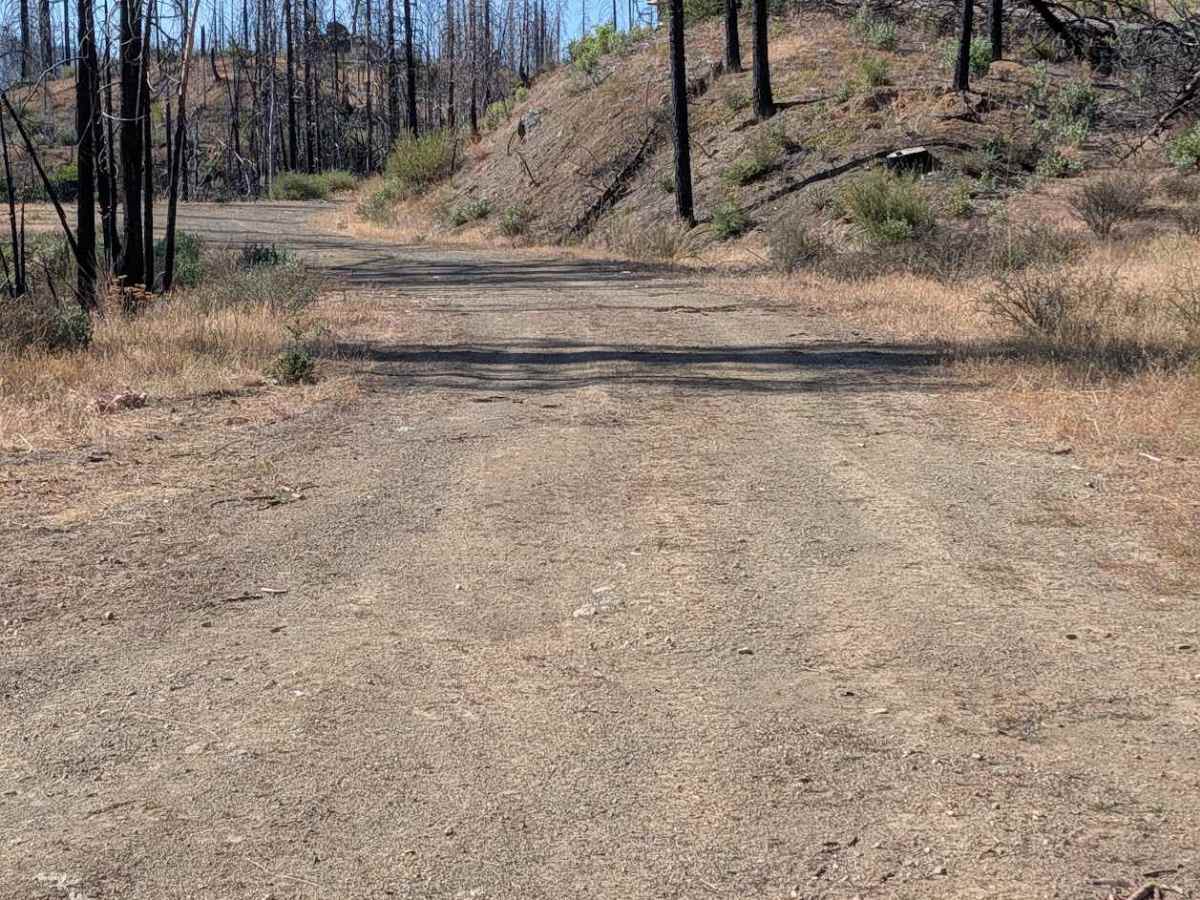 Panther Ridge Road - FS 29N33 photo 2