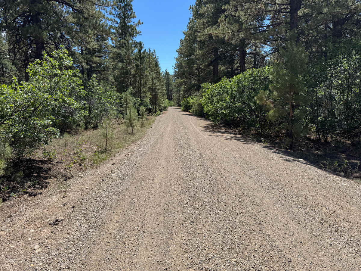 Grouse Point Road photo 3