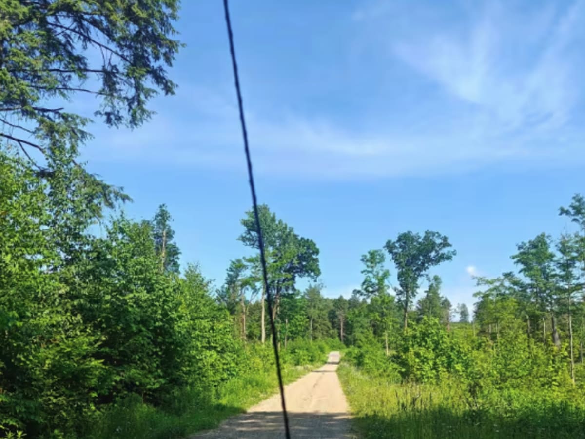 Fire Road 137 photo 3
