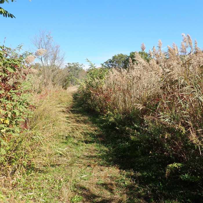 Dock Road Trail Near Steamboat Landing and Crabbing Bridge Loop