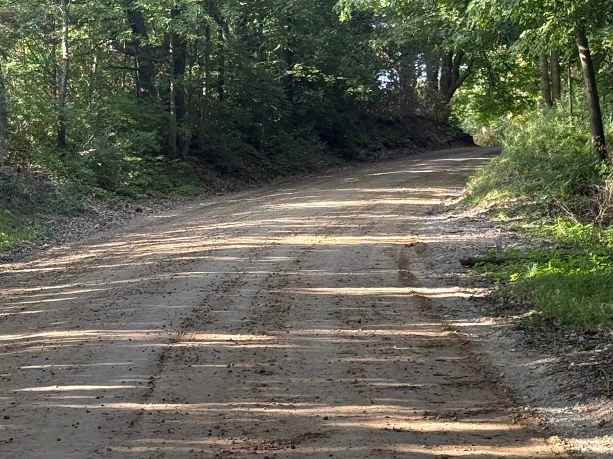 Pingree Trail trail photo