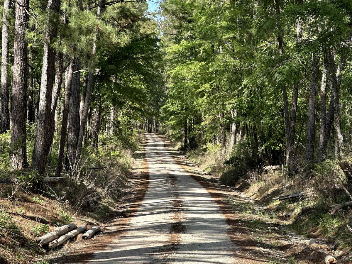 Hogg Road photo 2