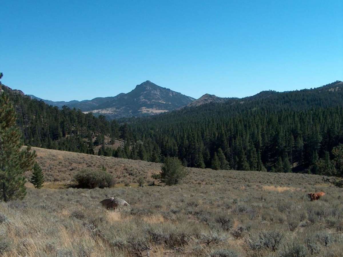 Big Bear Canyon/Devils Pass photo 6