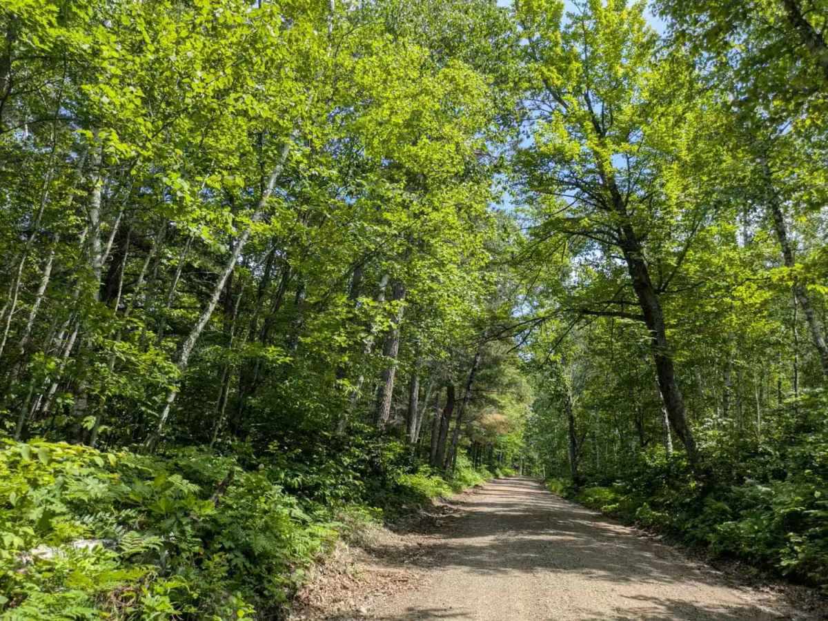 3755 photo 6