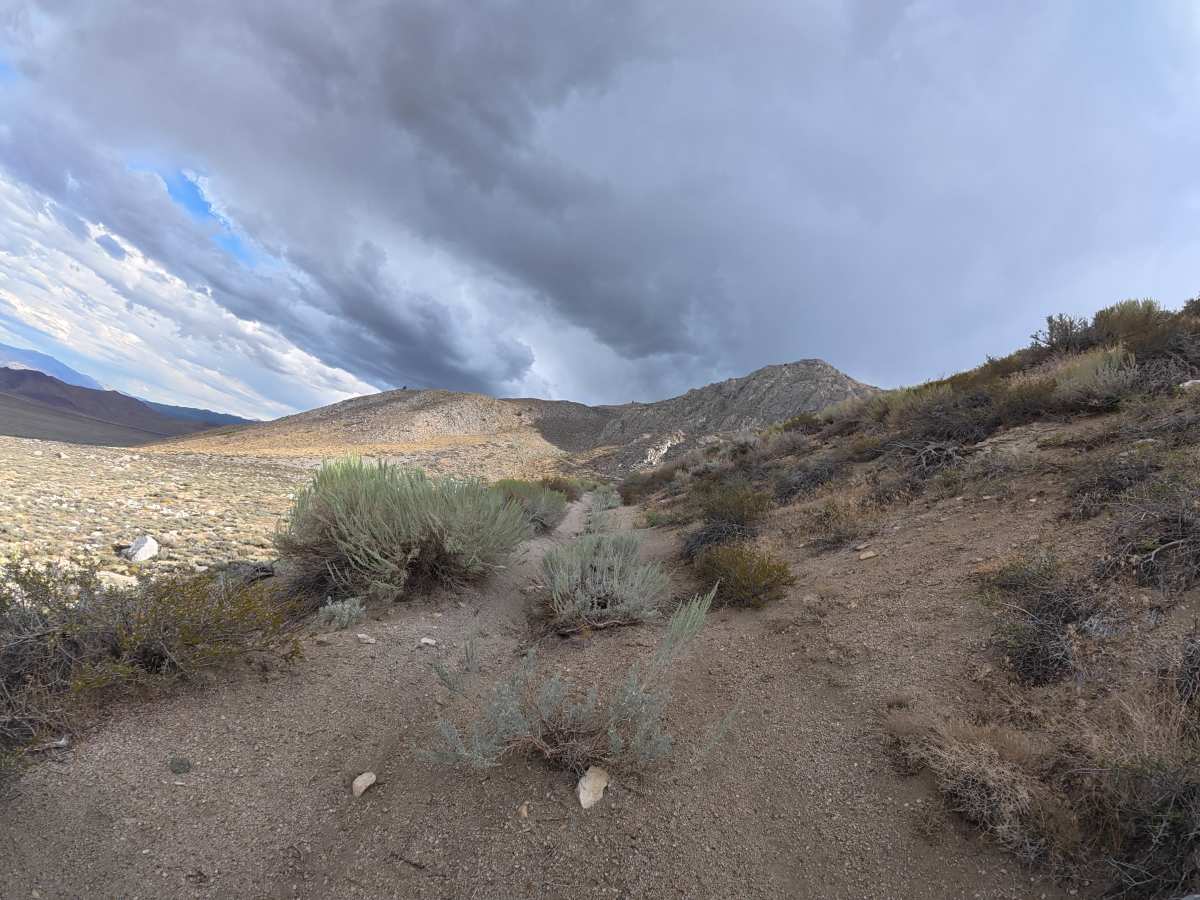 Elderberry Drainage Road trail photo