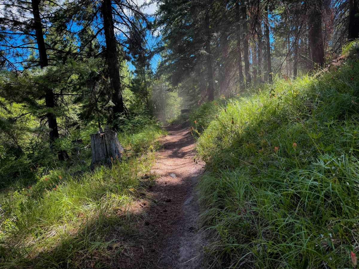 Beehive Trail 1202  photo 5