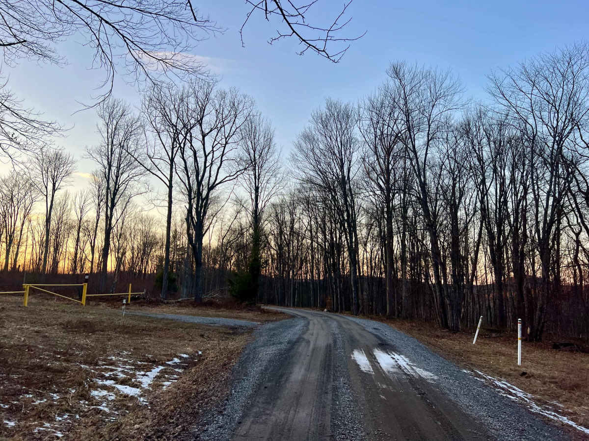 Laurel Ridge Road photo 6
