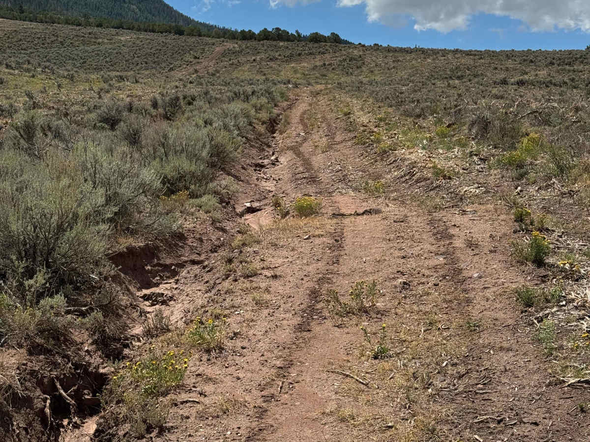 BLM 8634 photo 4