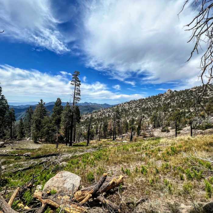 Near Waterman Mountain