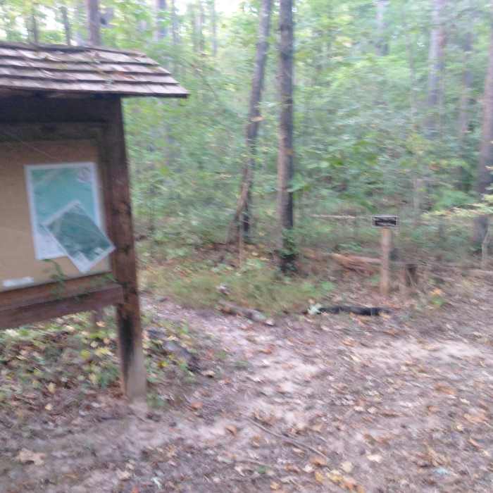 Near New Hope Creek Bottomlands Trail