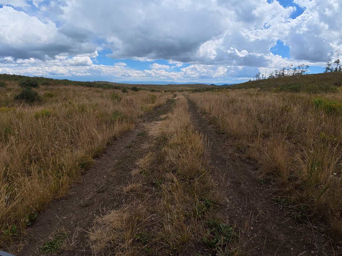 Red Elephant Hill Road - FS 811 trail photo