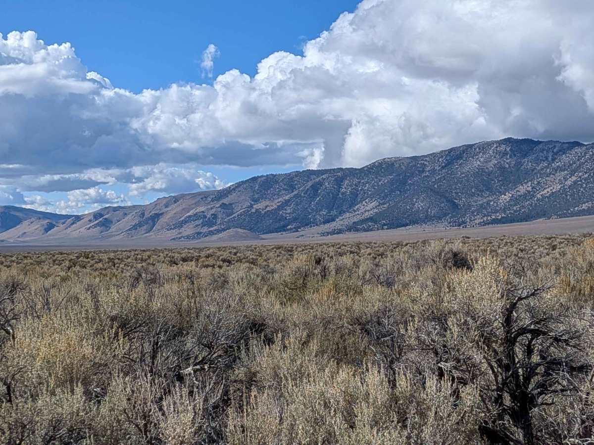 Wilfred Canyon - FS 3S01A photo 4