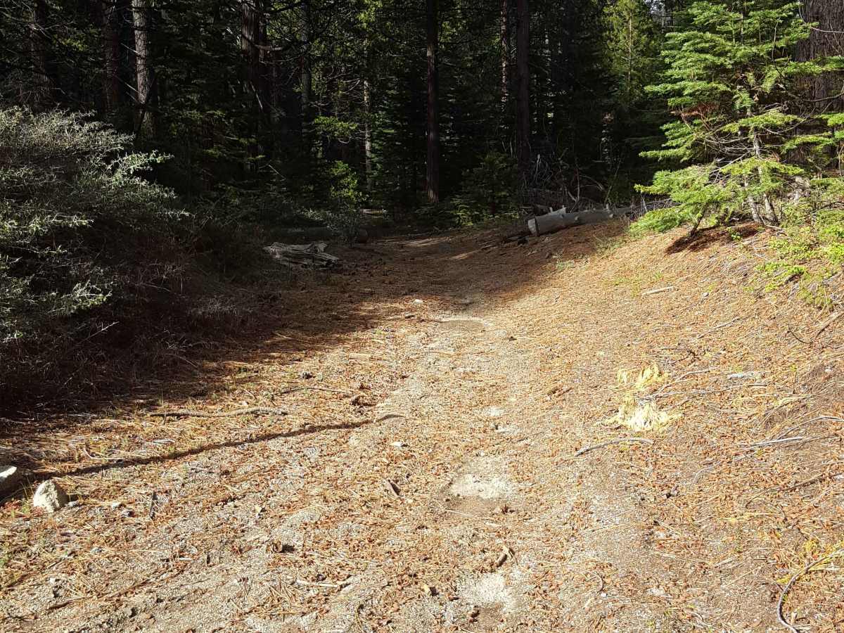 Browns Trail - FS 23E285 photo 2