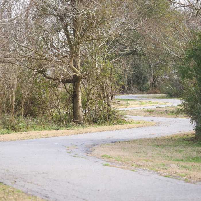 Near Blue Goose Nature Trail Near Blue Goose Nature Trail
