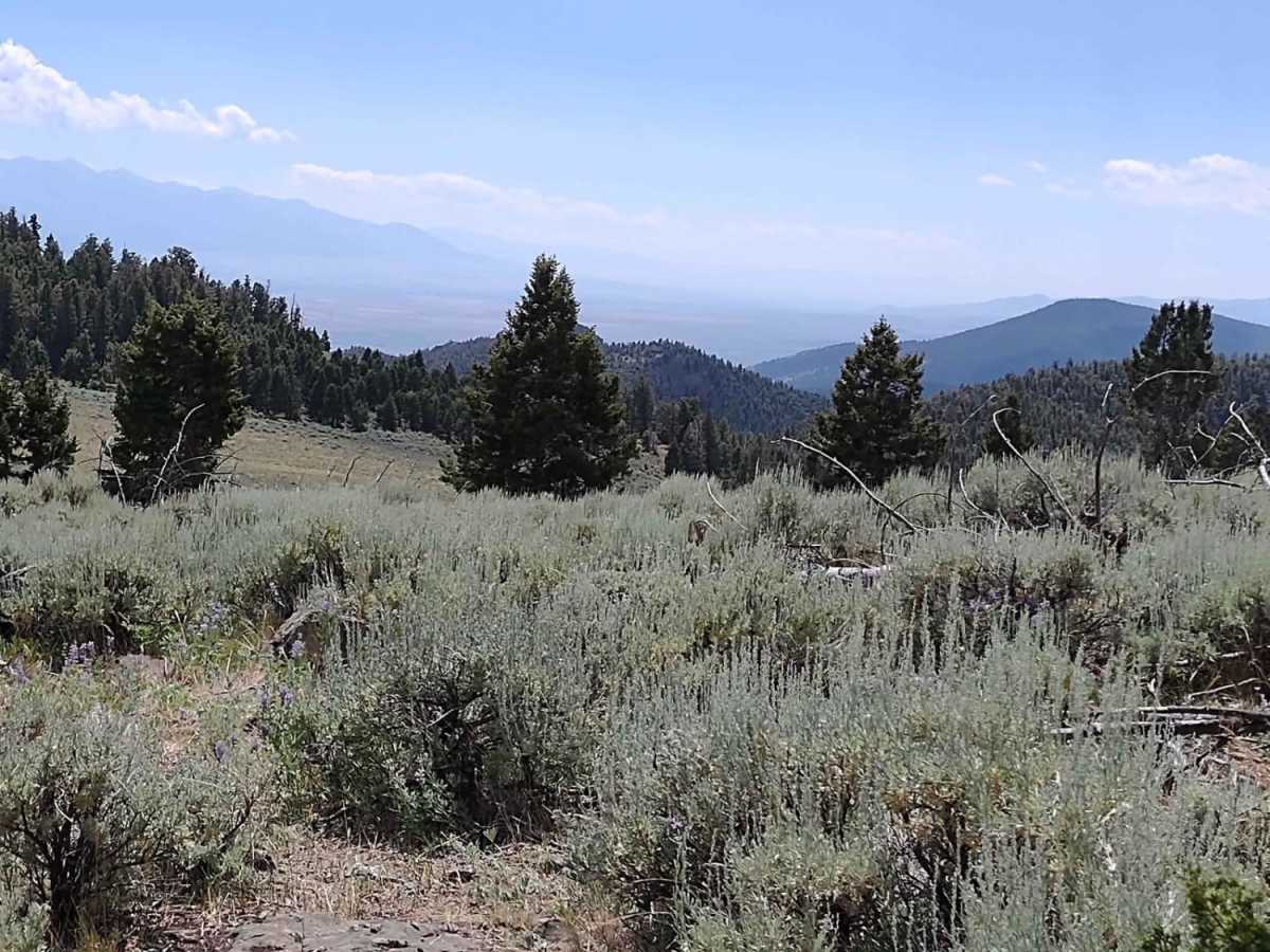Ratio Mountain Majesty Loop photo 6