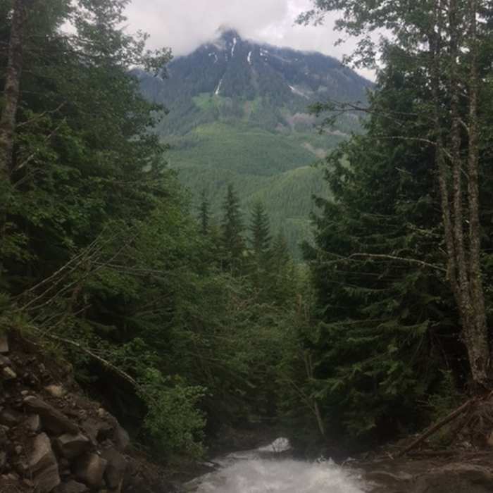 Check out the lower falls on the Ira Spring Trail #1038. Near Ira Spring (Mason Lake) Trail #1038