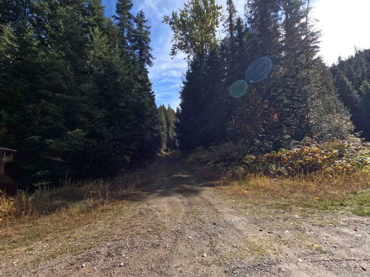 FS 2200300 trail photo
