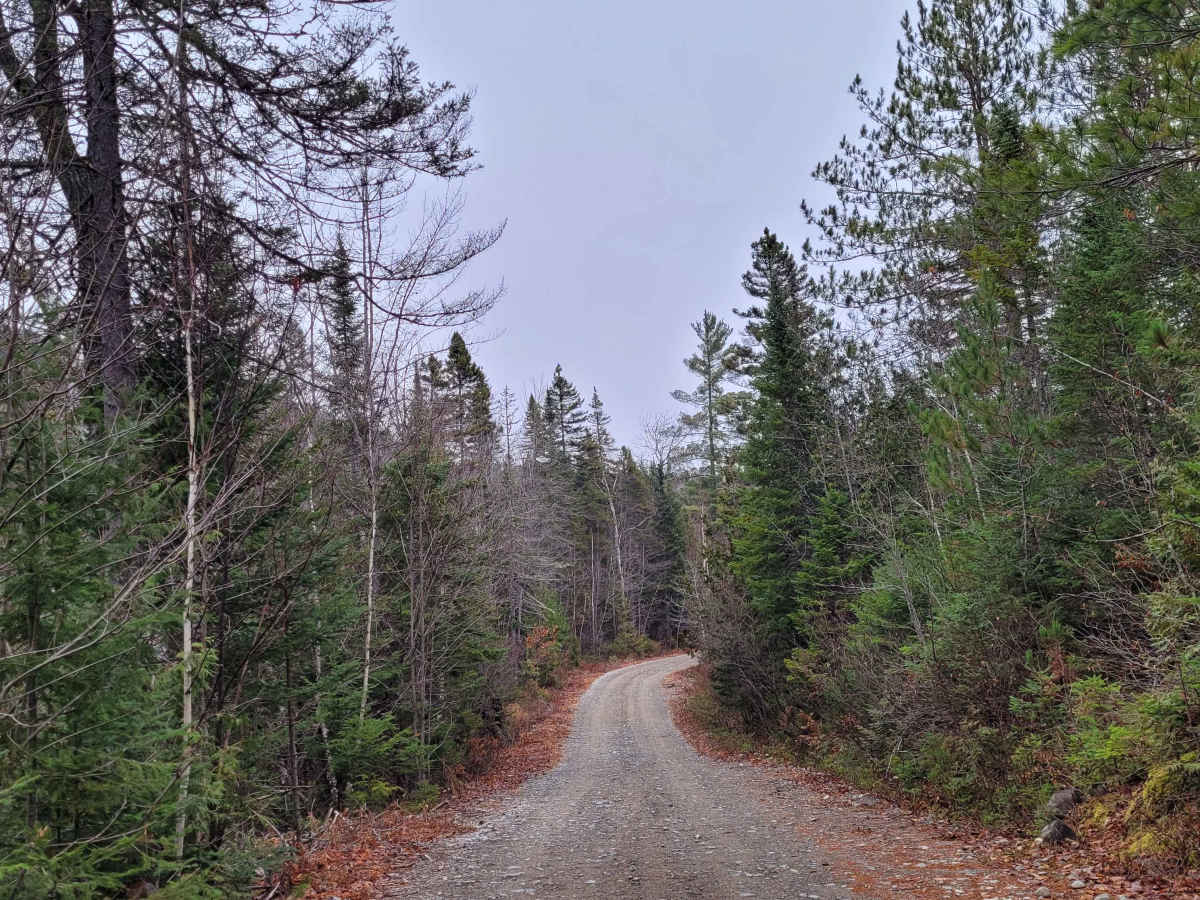 Lac des Pins Rouge trail photo