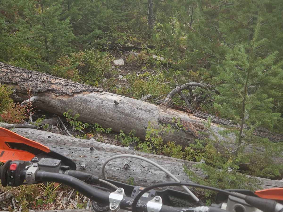 Gash Creek Singletrack photo 5